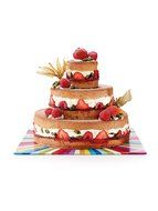 Lekue Surprise Tiered Cake Kit N8