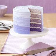 Wilton 2105-0112 Easy Layers! 5-Piece Cake Pan Set, 6-Inch N2