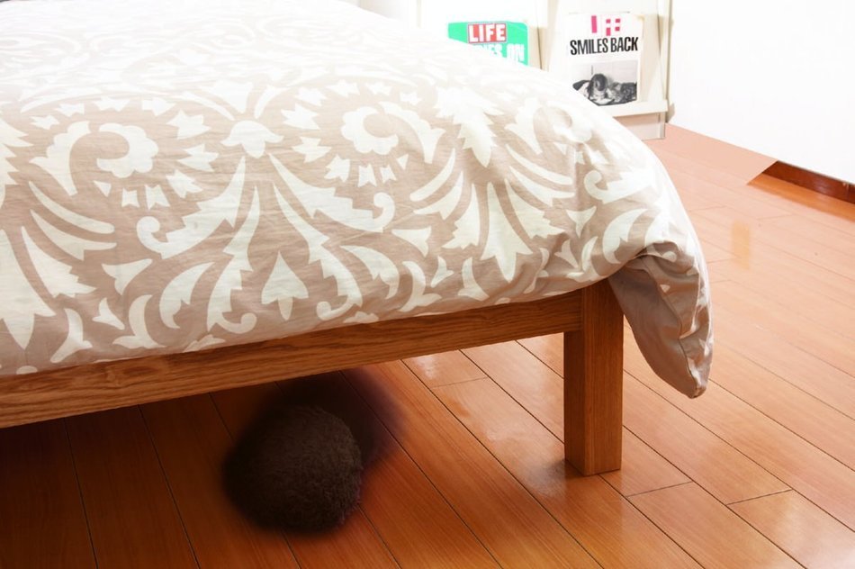 CCP Mini Robot Cleaner Microfiber Mop Ball MOCORO Bear Brown CZ-562-BB N2