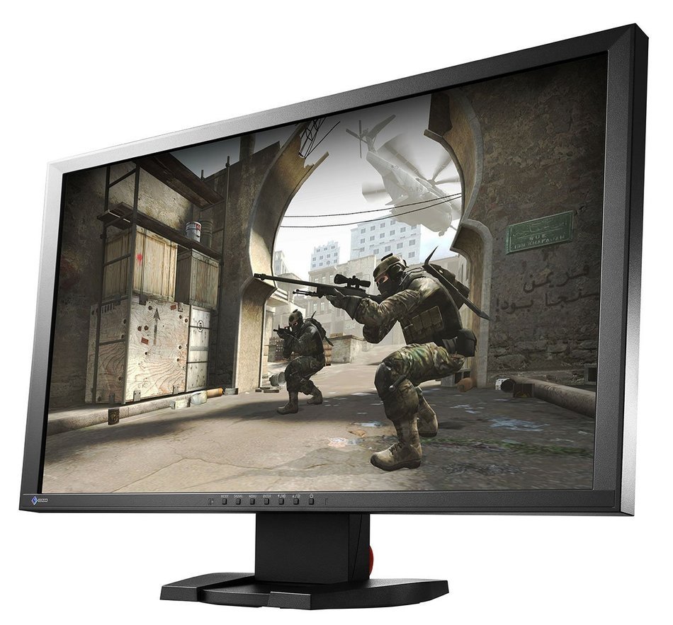 EIZO FORIS FG2421-BK 23.5-Inch Screen LCD Monitor