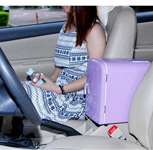 RUIRUI-Multifunctionalcar refrigerator, mini car fridge N3