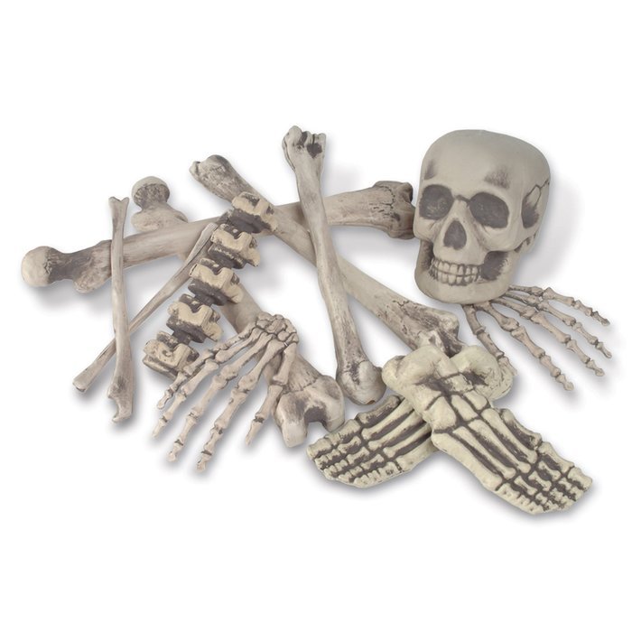 Beistle 12-Pack Bag of Bones, 6-Inch to 16-Inch