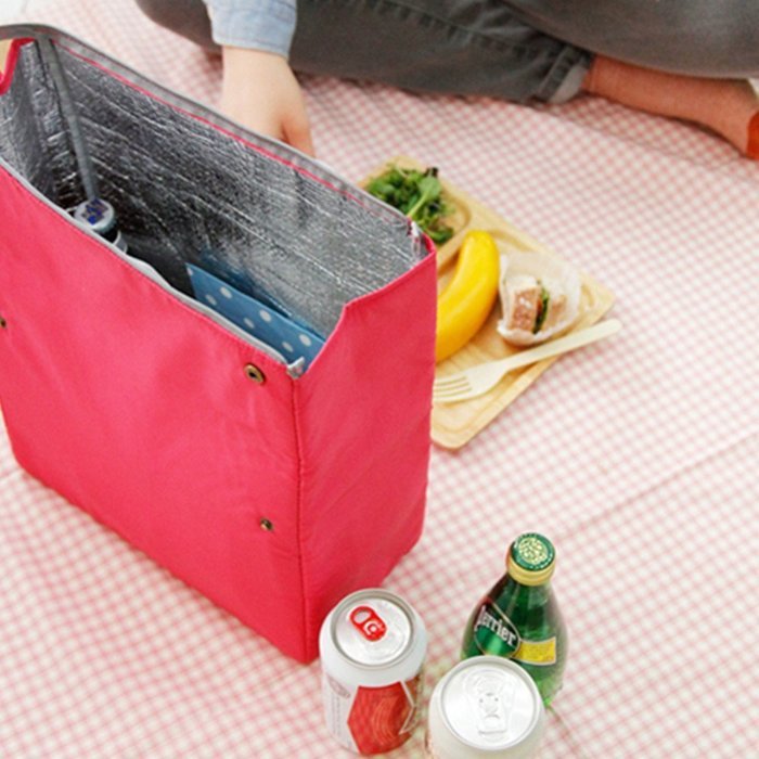 EVTECH(TM) Durable Deluxe Insulated Lunch Cooler Picnic Bag Ice pack Lunch Bags For Can Fruit Beverages Salad N12