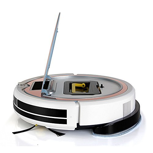 Dearhouse Self Charging Wet Mop Floor Cleaning Robot Vacuum Cleaner with Remote Control (Rose gold) N4