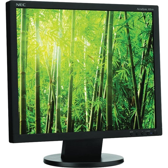 NEC AccuSync AS191-BK 19-Inch LCD Monitor - Black