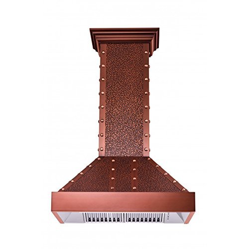 30" 900 CFM Wall Mounted Range Hood N15