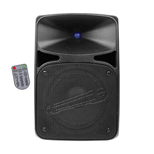 Audiopipe Wireless Pro Active 8" Loudspeaker Remote Tuner 3.5mm