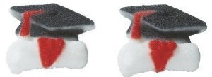 BundleOfBeauty Item#33962- Graduation Hat Edible Sugar Cupcake & Cake Decoration Topper-Pack of 16