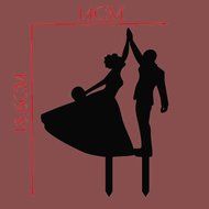 Cake Topper Of Bridal Or Party Mr And Mrs N4