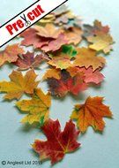MAPLE LEAVES AUTUMN FALL EDIBLE RICE / WAFER PAPER CUP CAKE TOPPERS WEDDING PARTY BIRTHDAY DECORATION