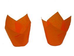 Tulip Standard Cupcake Liners Wrappers Colors (Natural, 100)
