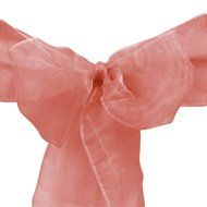 LinenTablecloth Organza Sash (10-Piece) Eggplant N15