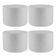 Cake Dummy Round, 6 x 4 Inches, 4 Count by GSA