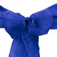 LinenTablecloth Organza Sash (10-Piece) Eggplant N16
