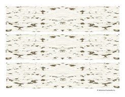 Birch Bark Edible Icing Image Cake Border Strips