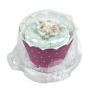 Single Serve Medium Cupcake/Muffin Container 300 Count Case