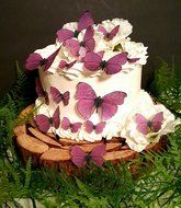 Edible Wafer Blushing Pink Butterflies- Cake/cupcake Toppers Collection of 16