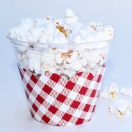 Cupcake Wrappers, Vintage Baby Blue Gingham, Rustic Red Checker, Confetti Couture Party Supplies, 36 N3