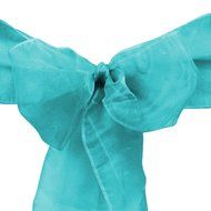 LinenTablecloth Organza Sash (10-Piece) Eggplant N18