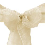 LinenTablecloth Organza Sash (10-Piece) Eggplant N19
