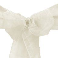 LinenTablecloth Organza Sash (10-Piece) Eggplant N20