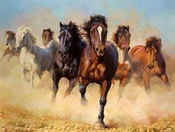 Herd of Horses Edible Icing Image for Cake, Cupcake, or Cookies (1/4 Sheet) N2