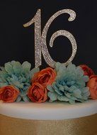 Sweet 16 Cake Topper - Premium Crystal Rhinestones - Monogram Number Sixteen - 16th Birthday Party Decoration... N4