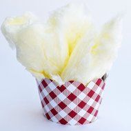 Cupcake Wrappers, Vintage Baby Blue Gingham, Rustic Red Checker, Confetti Couture Party Supplies, 36 N8