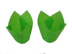 Tulip Standard Cupcake Liners Wrappers Colors (Natural, 100) N2