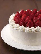 Type 15cm kai House SELECT preparative hole cake mold Kai bottom