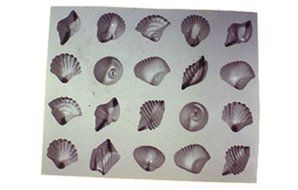 Seashell Rubber Mold