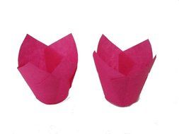 Tulip Standard Cupcake Liners Wrappers Colors (Natural, 100) N3