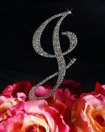 Completely Covered Swarovski Crystal Silver Wedding Cake Toppers ~ LARGE Monogram Letter J