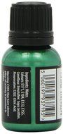 Rainbow Dust Metallic Paint Holly Green N3