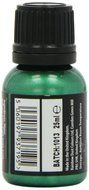 Rainbow Dust Metallic Paint Holly Green N4