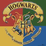 Harry Potter Hogwarts Edible Image Photo Sugar Frosting Icing Cake Topper Sheet Personalized Custom Customized... N2
