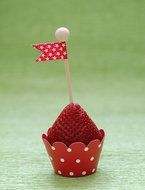 MINI Cupcake Wrappers Red and White Polka Dot, Solid, 24 Wraps, Confetti Couture Party Supplies N18