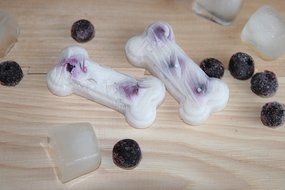 2-Pack Food Grade Silicone Dog Paw and Bone Molds With Recipe Booklet N3