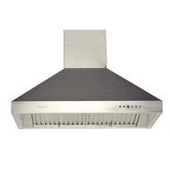 Pro 550 CFM Wall Mount Range Hood