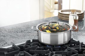 Calphalon Tri-Ply Stainless Steel 14-Inch Roaster with Rack and Lifters N8