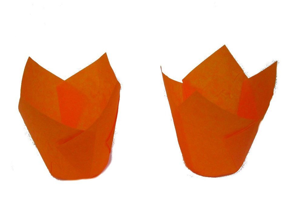 Tulip Standard Cupcake Liners Wrappers Colors (Natural, 100)