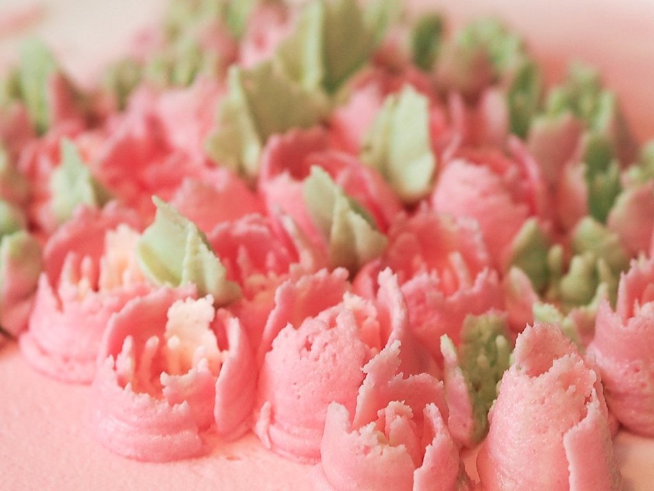 Russian Piping Tips 29pcs Set - incl 14 piping nozzle tips, 12 silicone cupcake liner, Coupler, 2 Reusable pastry... N3