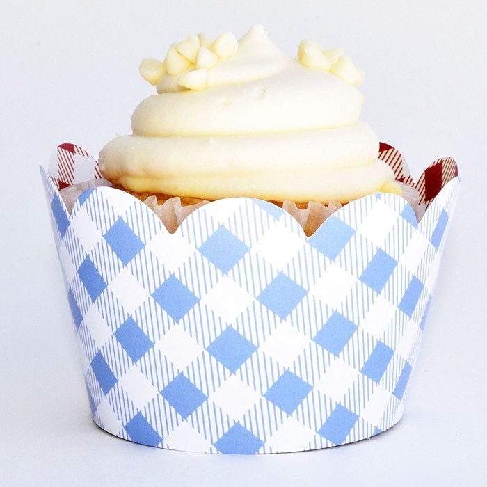 Cupcake Wrappers, Vintage Baby Blue Gingham, Rustic Red Checker, Confetti Couture Party Supplies, 36 N2
