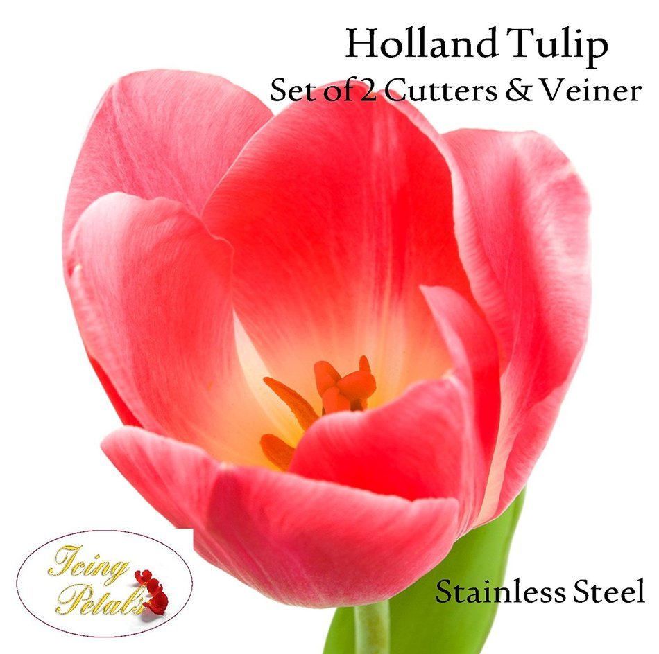 Holland Tulip Petal Cutters & Veiner Set/4 By Icing Petals N2