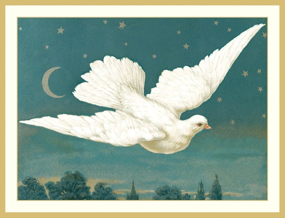 Entertaining with Caspari Dove Christmas Cards (Box of 16)