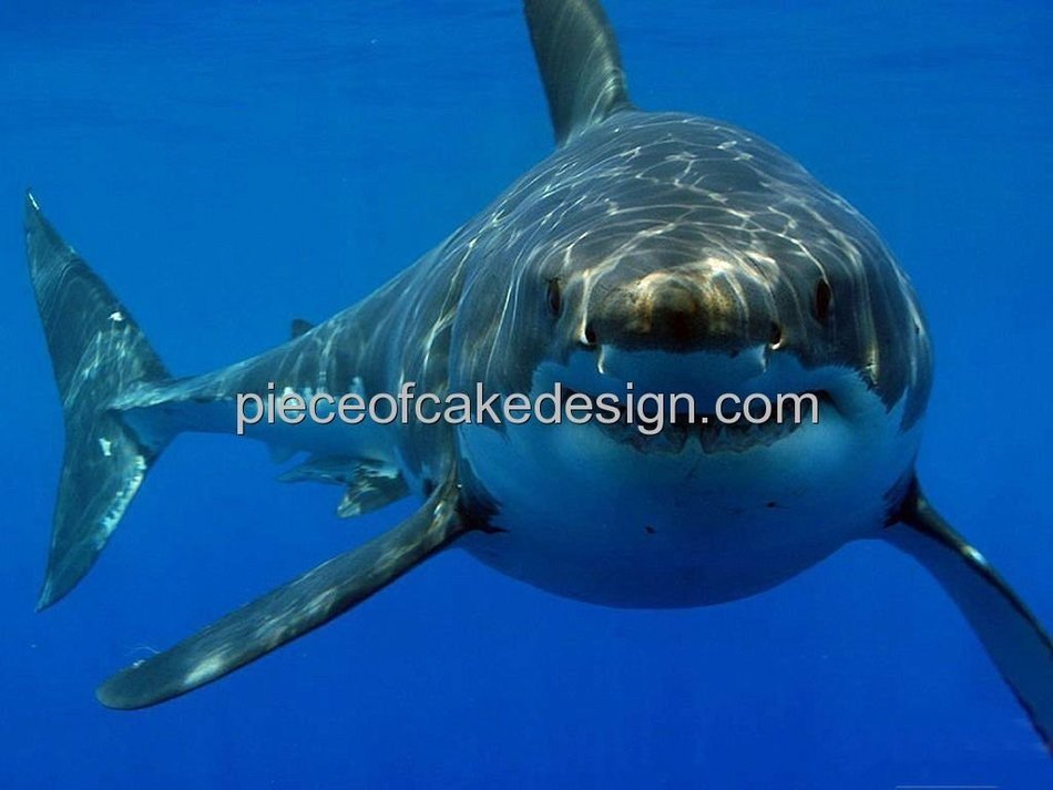 1/4 Sheet ~ Great White Shark Birthday ~ Edible Image Cake/Cupcake Topper!!!