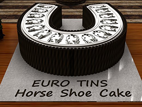 Horse Shoe Shaped Birthday Novelty Baking Cake Tin Pan N6