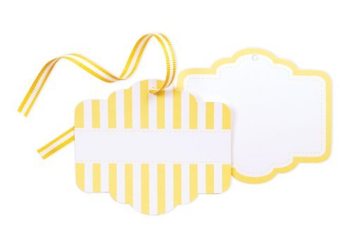 Paper Eskimo 12-Pack Styling Tags for Parties, Limoncello N11