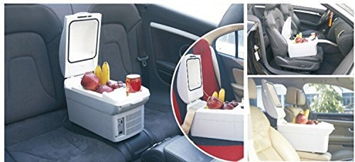 GOWE Car refrigerator 25l vehienlar refrigerator dual p.v tablets car refrigerator coolerx N2