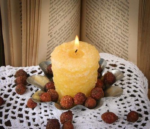 4" Primitive Galvanized Flower Candle Pan Tart Mold Set of 10